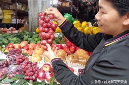 越南最大汽车品牌的销量，探寻越南市场的秘密