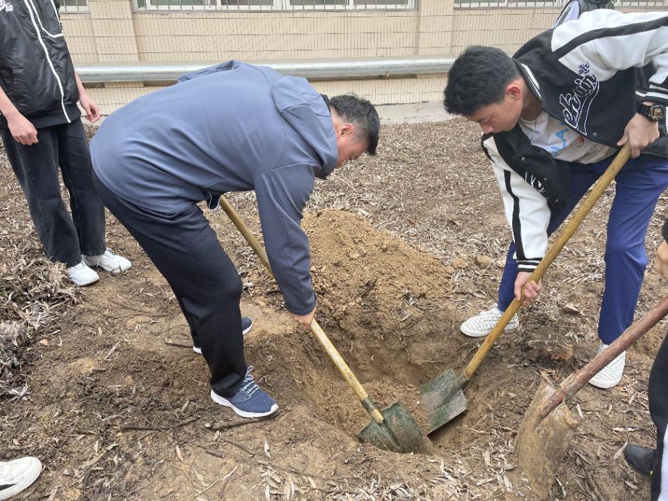 绿色出行，植树节汽车品牌在行动