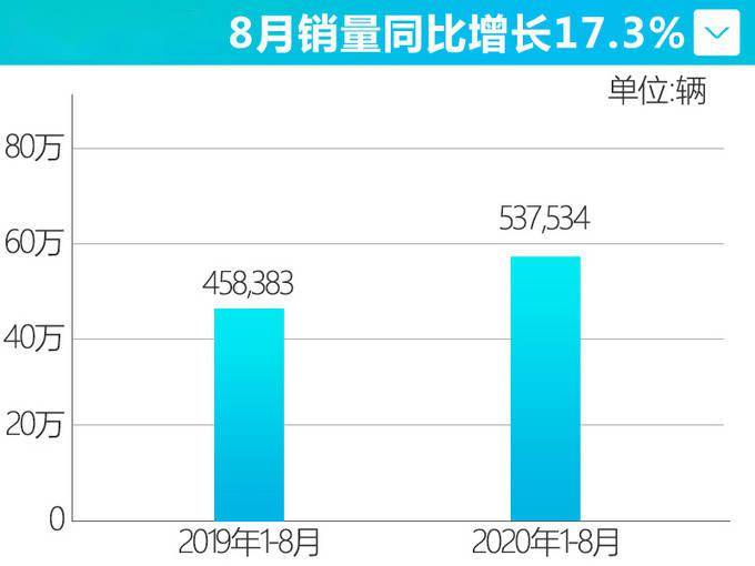 长安汽车品牌占比，市场分析与趋势预测