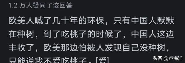 全球小了最高汽车品牌，特斯拉的崛起与挑战