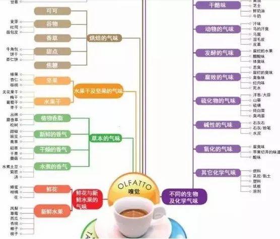 咖啡与汽车品牌的跨界合作，一场味觉和驾驶的双重盛宴