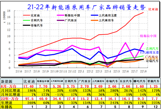 曲靖汽车品牌销量排行及市场分析，新能源汽车崛起，传统车企面临挑战