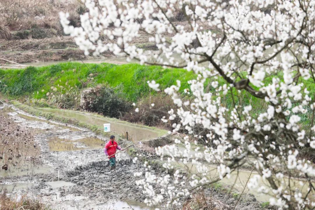 气味严重的汽车品牌，揭秘令人难忘的芳香驾驶体验