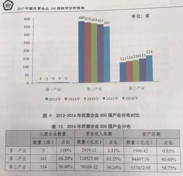 私营企业汽车品牌，挑战与机遇