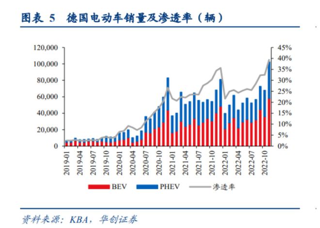 全球出口电动汽车品牌市场洞察与发展趋势