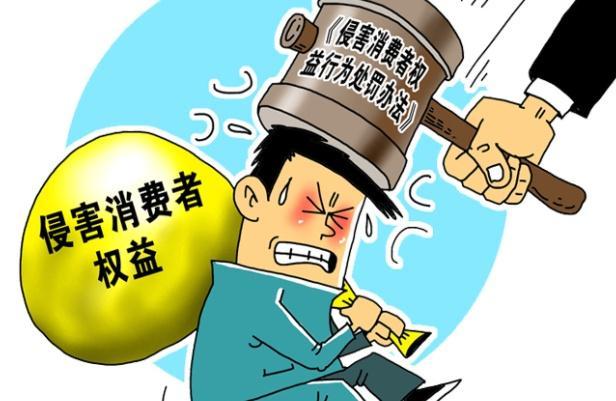 揭秘瑕疵汽车品牌，质量、信誉与消费者权益的博弈