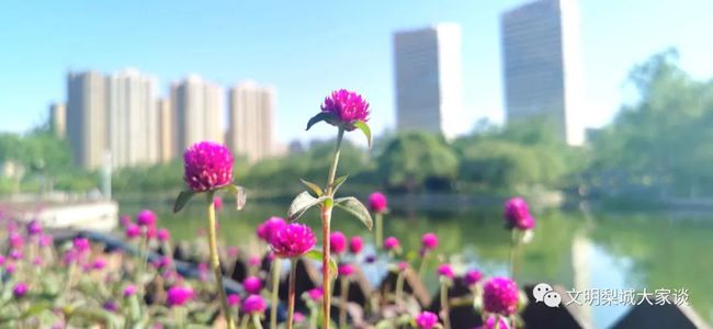 花繁叶茂，汽车品牌中的生机与活力