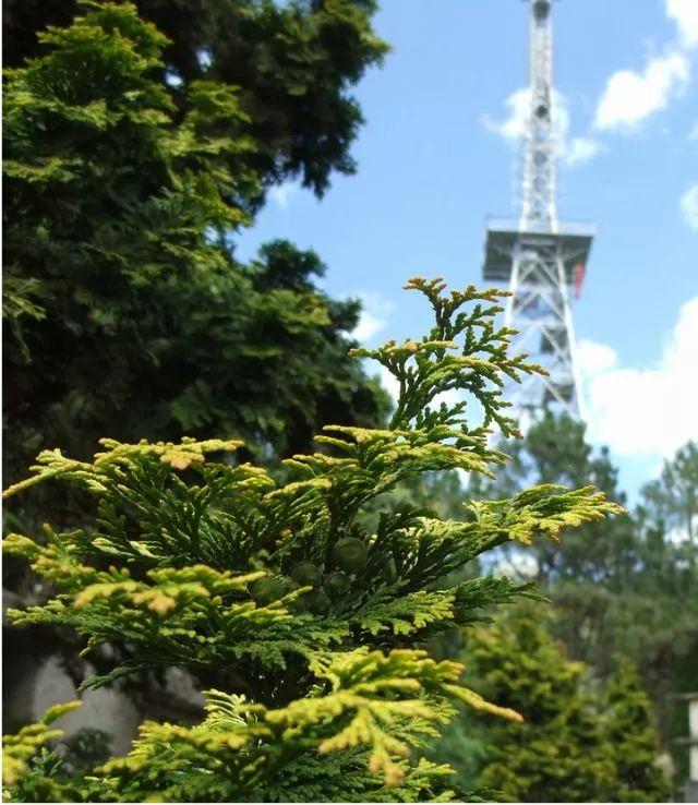 带晨的汽车品牌，一场与时光的美好邂逅