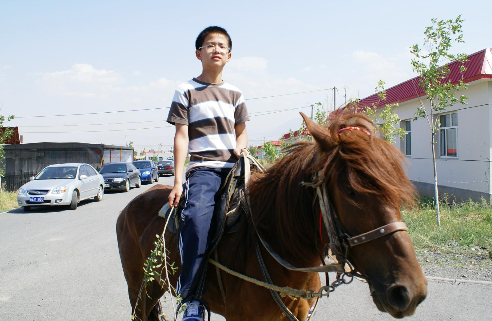 乌鲁木齐地产汽车品牌大全，豪华与实用兼具，打造出行新体验