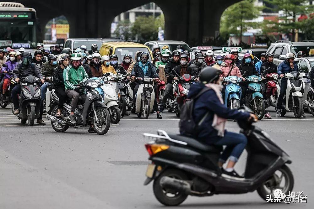 马路上的主宰，深入探究汽车品牌在市场中的占比分布