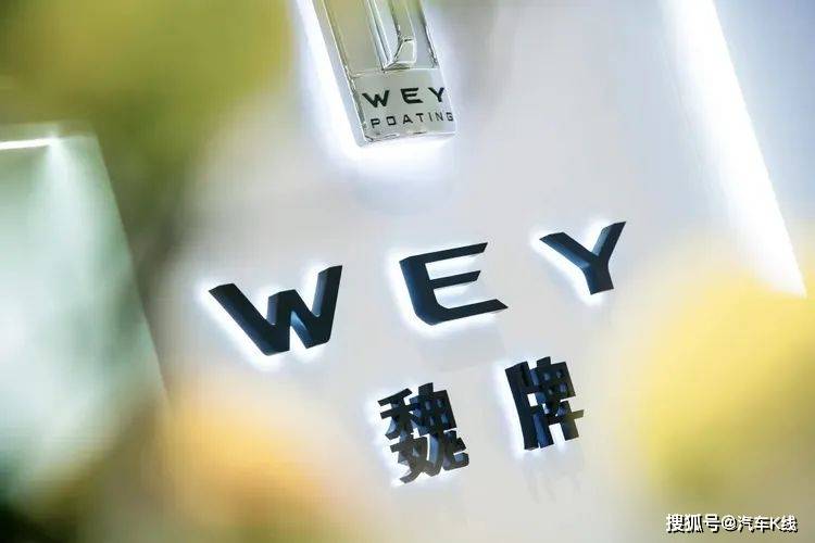 WYE，揭秘汽车行业的神秘品牌