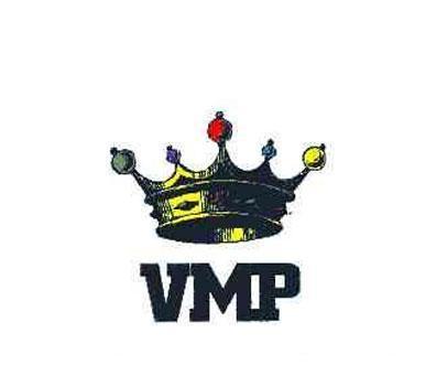 VMP，揭秘汽车行业的未来之星