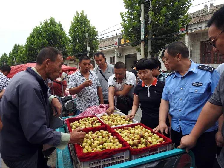 汽车品牌销量追踪，了解市场动态与竞争格局