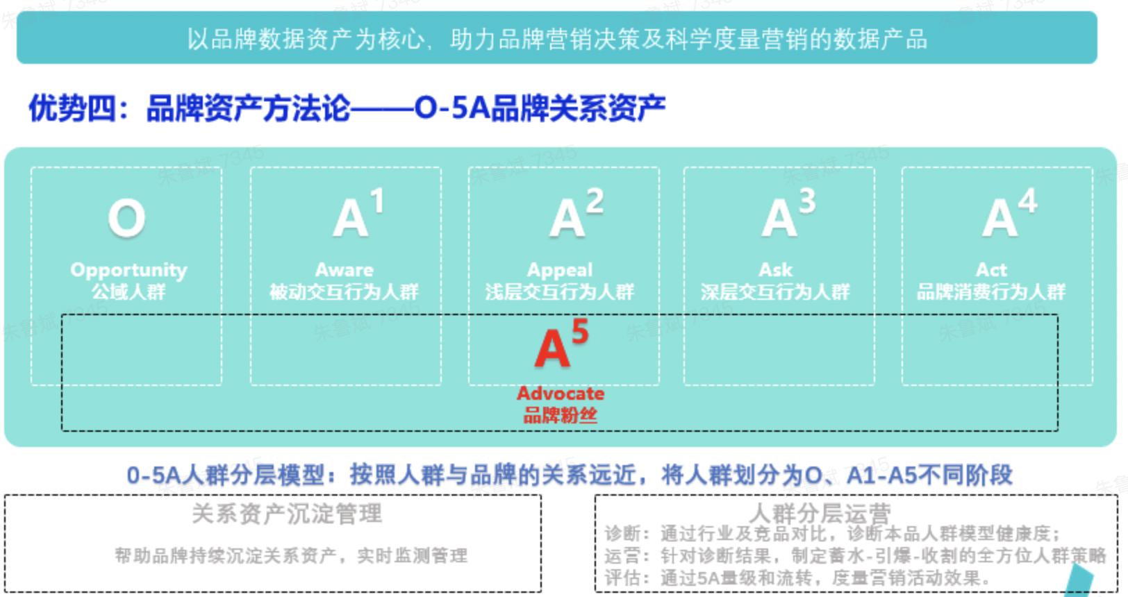 How to Ask about Car Brand in English