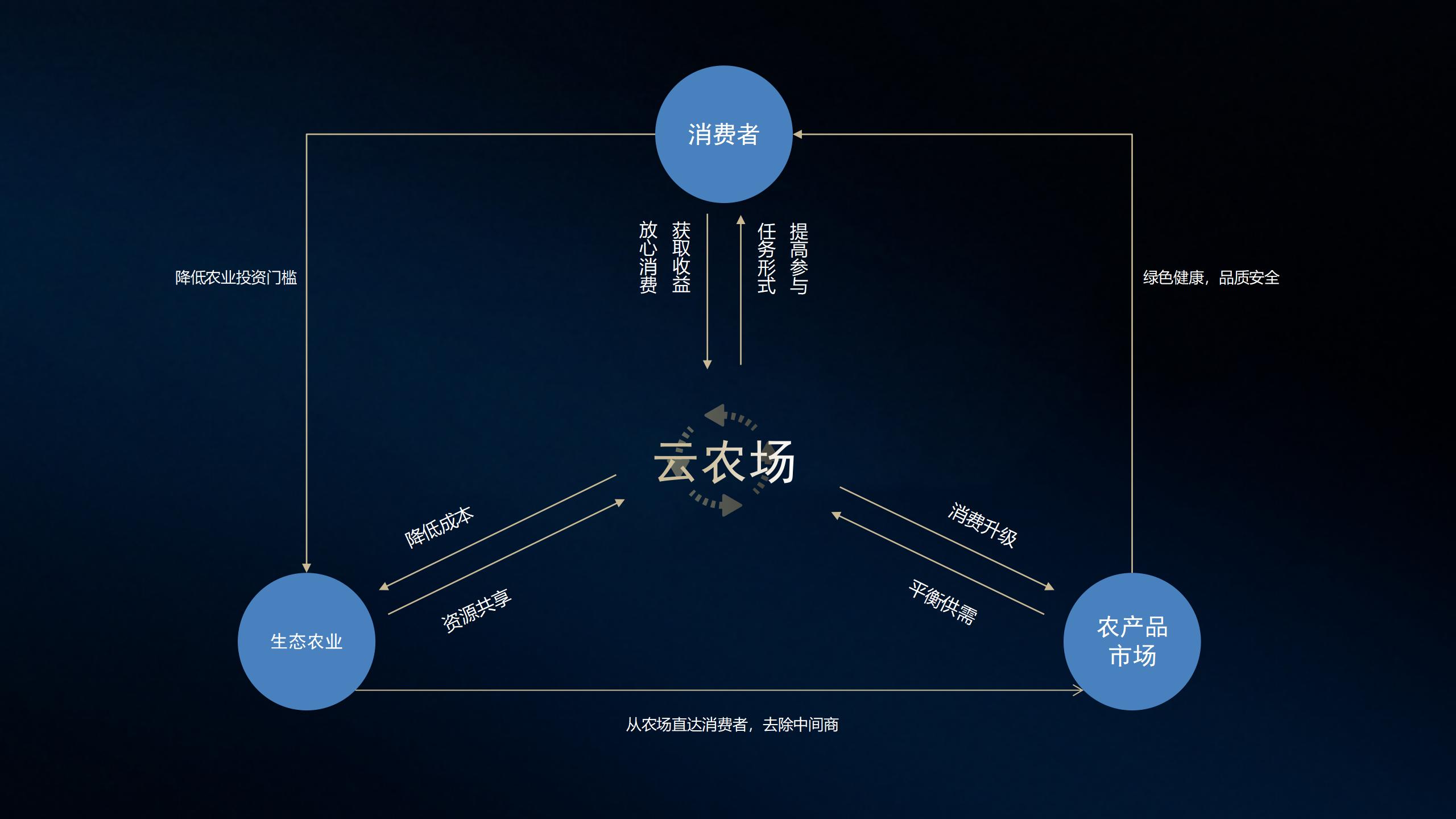 共享汽车品牌与城市，共创未来出行新篇章