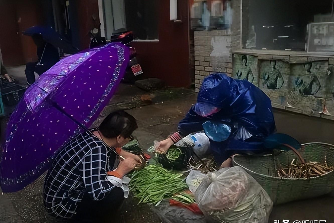 老人汽车品牌的好