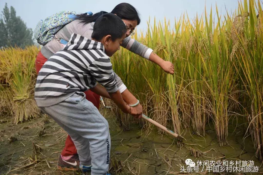 死掉的经典汽车品牌，回顾与纪念