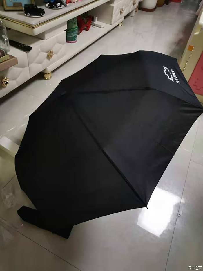 哪个汽车品牌雨伞好点？