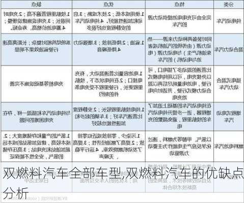 进口双燃料汽车品牌的优势与挑战