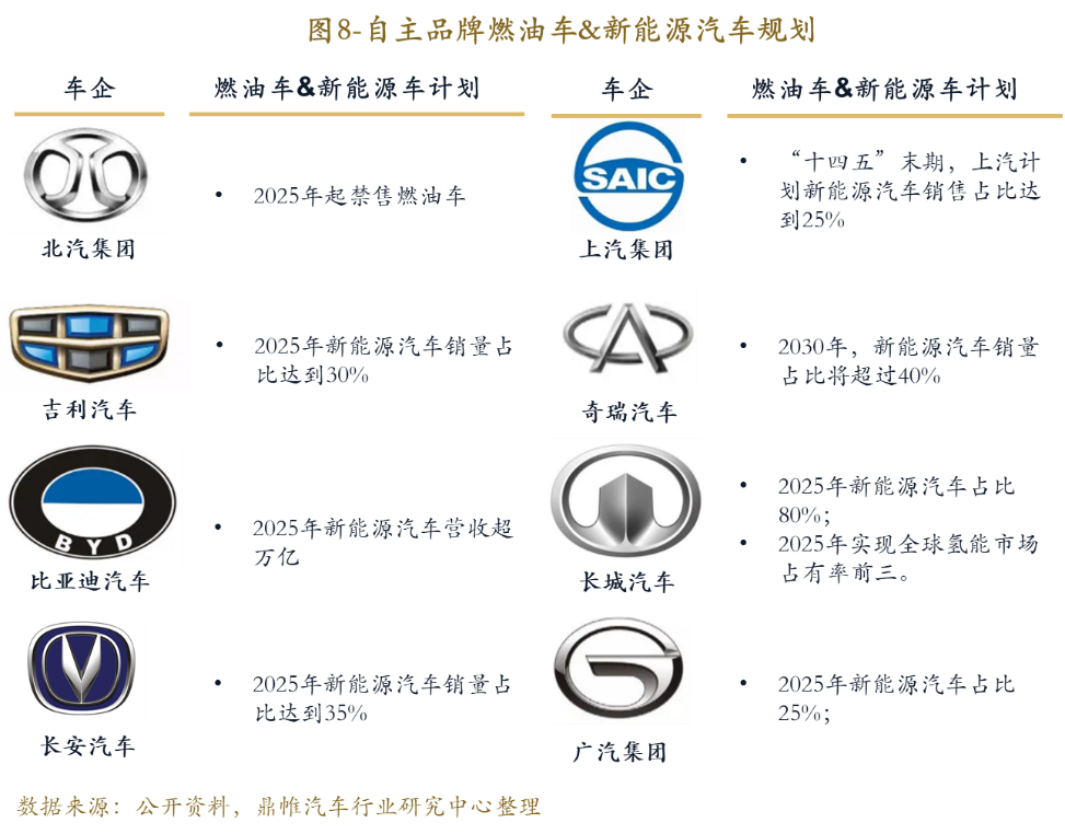 国家支持的汽车品牌，政策、市场与未来