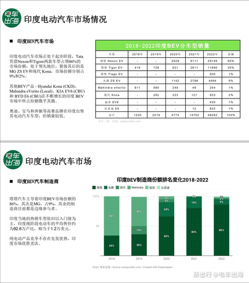 印度电动汽车品牌，挑战与机遇