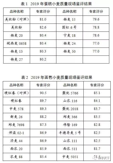 汽车品牌推广员，让您的品牌脱颖而出