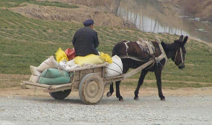 驴车是什么汽车品牌？