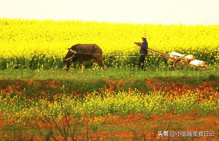 适合农耕的汽车品牌，挖掘农业潜力，助力农业现代化