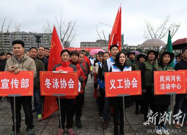 汽车品牌部长职级之谜，地位与权力的探秘