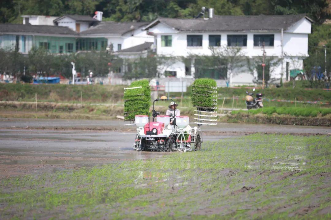 丰收与驰骋——汽车品牌与丰收土地的完美结合