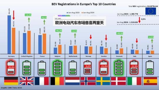 国外纯电汽车品牌的发展与竞争格局