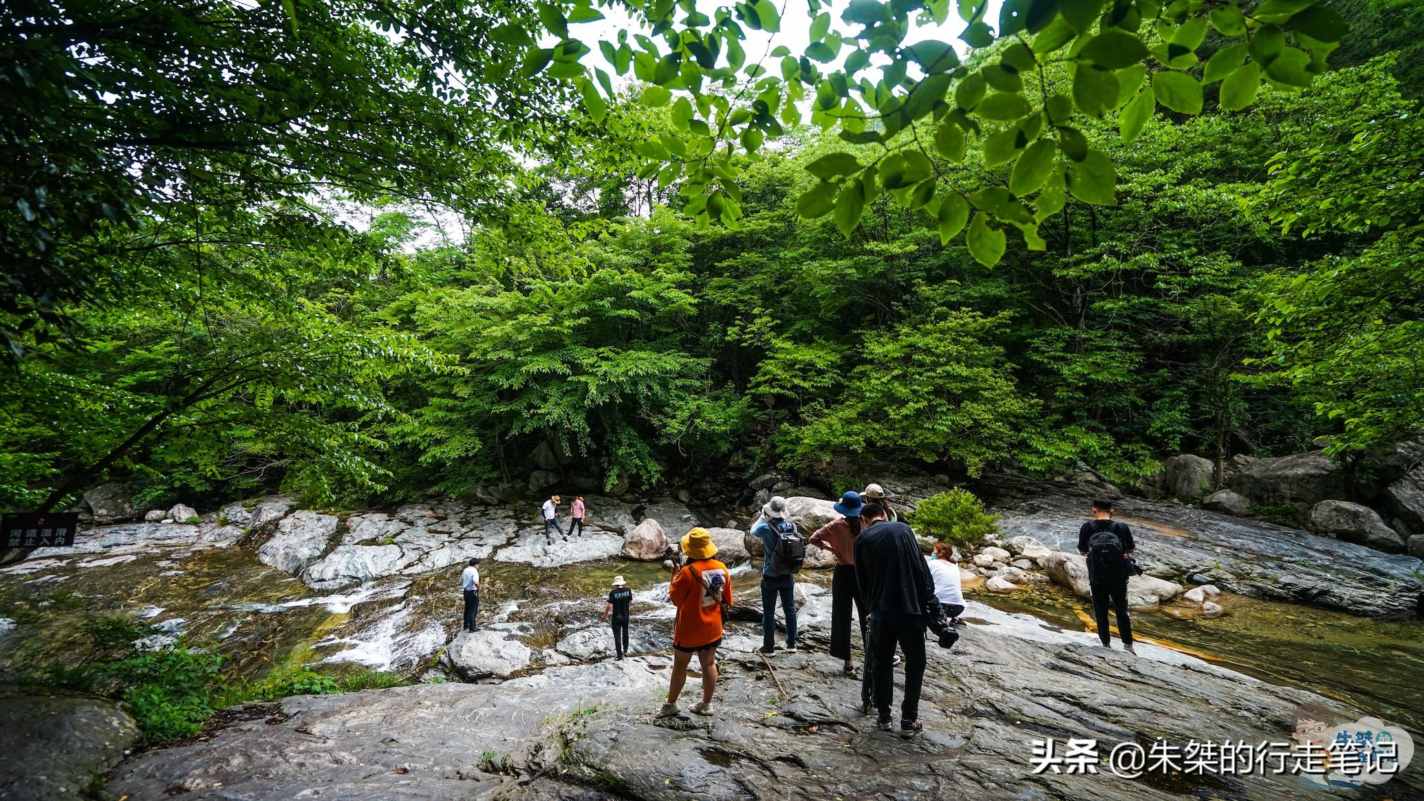 故事中的车轮印记，汽车品牌的传奇之旅