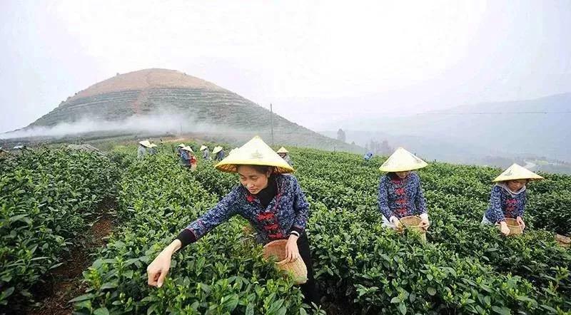 榆林东沙汽车品牌，传承与创新并重，塑造卓越的汽车文化